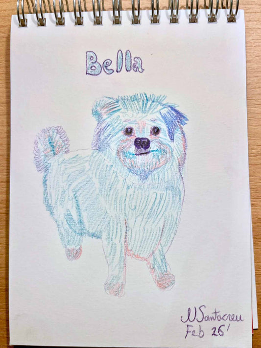 Custom Pet Portrait in a Sketchy Style